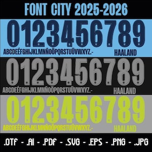 Puede incluir: Diseño digital que muestra tres conjuntos de números y alfabetos en azul, gris y verde amarillento. El texto "FONT CITY 2025-2026" está en la parte superior. Los formatos de archivo se enumeran en la parte inferior.