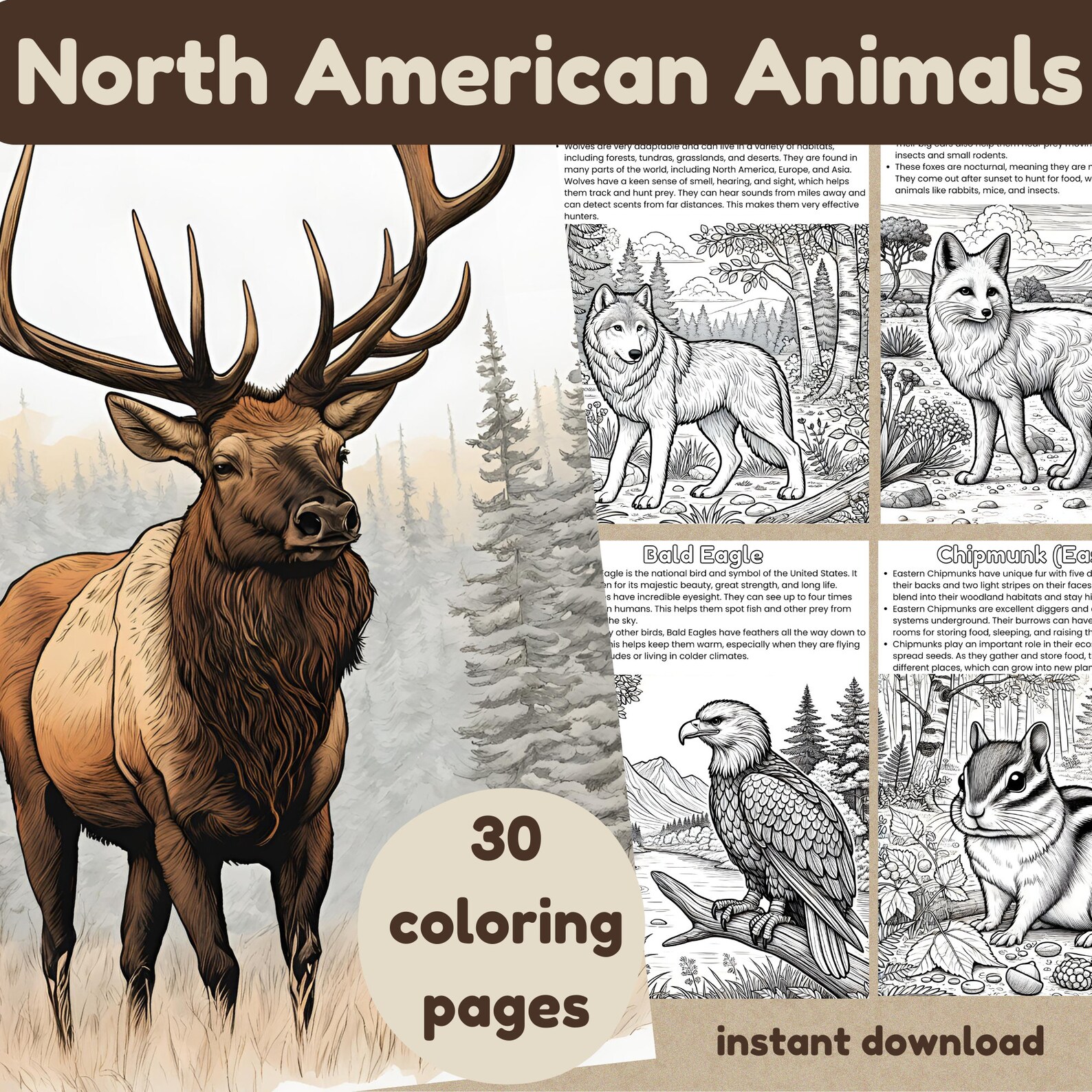Coloring Book for Kids, North American Animals Printable Coloring Pages ...