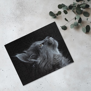 Cat Lover Puzzle, Grey Cat Jigsaw Puzzle, 120 252 500 Pieces, Great Gift for Kids and Adults, Fun Family Activity, Furry Pet Portrait Toy