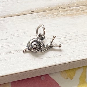 Snail Charm Little Slug Shell Pendant for Jewelry Sterling Silver (CNA6627)