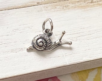 Snail Charm Little Slug She’ll Pendant for Jewelry Sterling Silver (CNA6627)