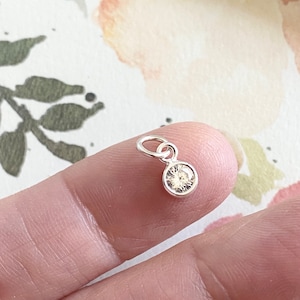 May include: A small silver charm with a clear round crystal. The charm has a loop at the top for attaching to a necklace or bracelet.