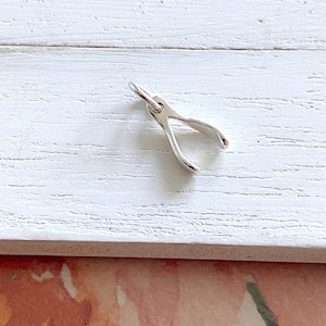 Tiny Sterling Silver Wishbone Charm Wish Bone Good Luck Pendant (CNA874)