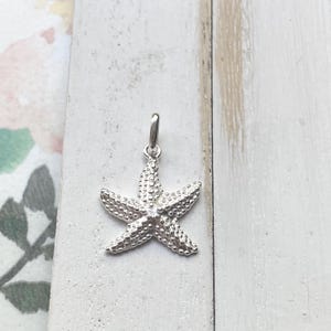 Sterling Silver Star Fish Pendant Starfish Charm (CHS7254)