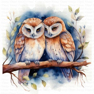 Sleepy Owls Clipart | 5 High Quality JPGs | Digital Download | Nursery Art | Card Making | Owl Print | Digital Paper Craft | Scrapbooking