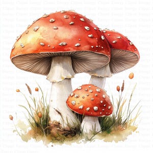 Clipart champignon vénéneux | 5 fichiers JPG de haute qualité | Téléchargement numérique | Art de la forêt | Dessins de champignons | Art des bois | Technique mixte | Créations en papier