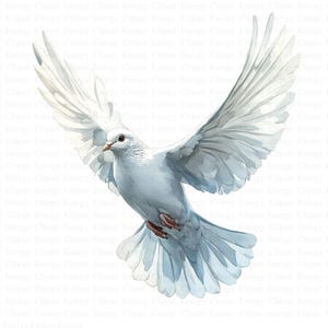 May include: A white dove with its wings spread wide, flying in mid-air. The dove is painted in a watercolor style, with soft, delicate brushstrokes.