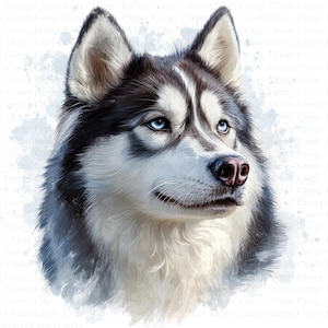 Aquarelle Husky Portrait Clipart | 5 fichiers JPG de haute qualité | Téléchargement numérique | Pack de cliparts portrait d'animal de compagnie | Animal aquarelle | Art numérique