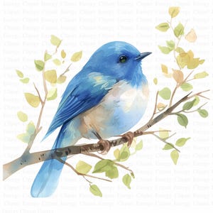 Clipart de pájaro azul / 5 archivos JPG de alta calidad / Descarga digital / Clipart de pájaros / Clipart de pájaro azul en acuarela / Manualidades de papel / Revistas basura