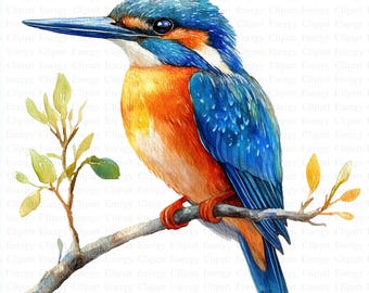 May include: A watercolor painting of a blue and orange kingfisher perched on a branch with green and yellow leaves. The bird has a long, pointed beak and bright blue feathers.