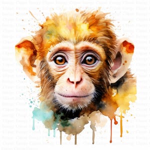 Monkey Clipart | 5 High Quality JPG&#39;s | Digital Download | Animal Clipart | Cute Monkey | Jungle | Digital Paper Craft | Kids | Clipart Pack