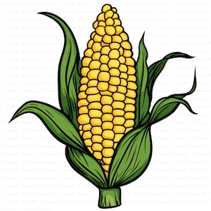 Corn Clipart | 5 High Quality JPG&#39;s | Digital Download | Corn Graphics | Vegetable Illustrations | Cute Corn Clipart | Mixed Media