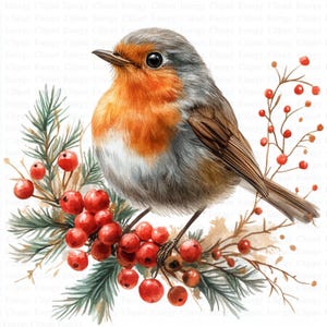 May include: A watercolour painting of a robin perched on a branch with red berries. The robin has a grey back, a red breast, and a brown tail. The branch is green and has small, red berries.