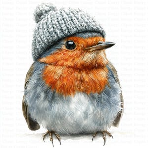Rouge-gorge en chapeau de laine des cliparts | 5 fichiers JPG de haute qualité | Téléchargement numérique | Illustration d'oiseau d'hiver | Festif | Technique mixte | Création numérique