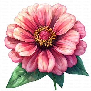 Clipart Zinnia | 5 fichiers JPG de haute qualité | Téléchargement numérique | Graphiques de fleurs de zinnia | Art floral | Clipart botanique | Créations numériques en papier