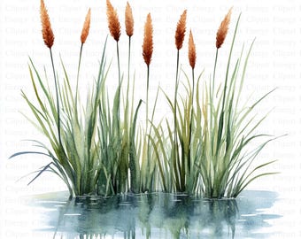Cattails and Reeds in Water Pond Clipart | 5 High Quality JPGs | Digital Download | Papercraft | Scrapbooking | Mixed Media | Commercial Use