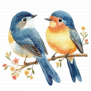 Clipart di uccelli scandinavi / 5 JPG di alta qualità / Download digitale / Clip Art / Uccello floreale / Clipart acquerello stampabile / Artigianato di carta