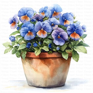 watercolor pansies |  5 High Quality JPG&#39;s | Pot of Pansies Clipart |Digital Download | Floral Art | Flower Clipart | Watercolor Clipart