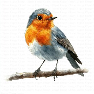 May include: A watercolour painting of a robin perched on a branch. The robin has a bright orange breast, a blue-grey back, and a dark beak. The branch is brown and has a rough texture.