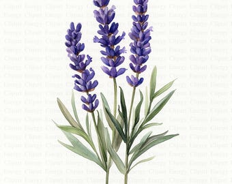 Lavender Printable | 5 High Quality JPGs | Digital Download | Floral Print | Lavender Digital Print | Lavender Watercolor | Lavender Poster