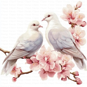 Coppia di colombe romantiche Clipart / 5 JPG di alta qualità / Download digitale / Arte dell'amore / Grafica di colombe / Design per matrimoni / Clipart di uccelli innamorati