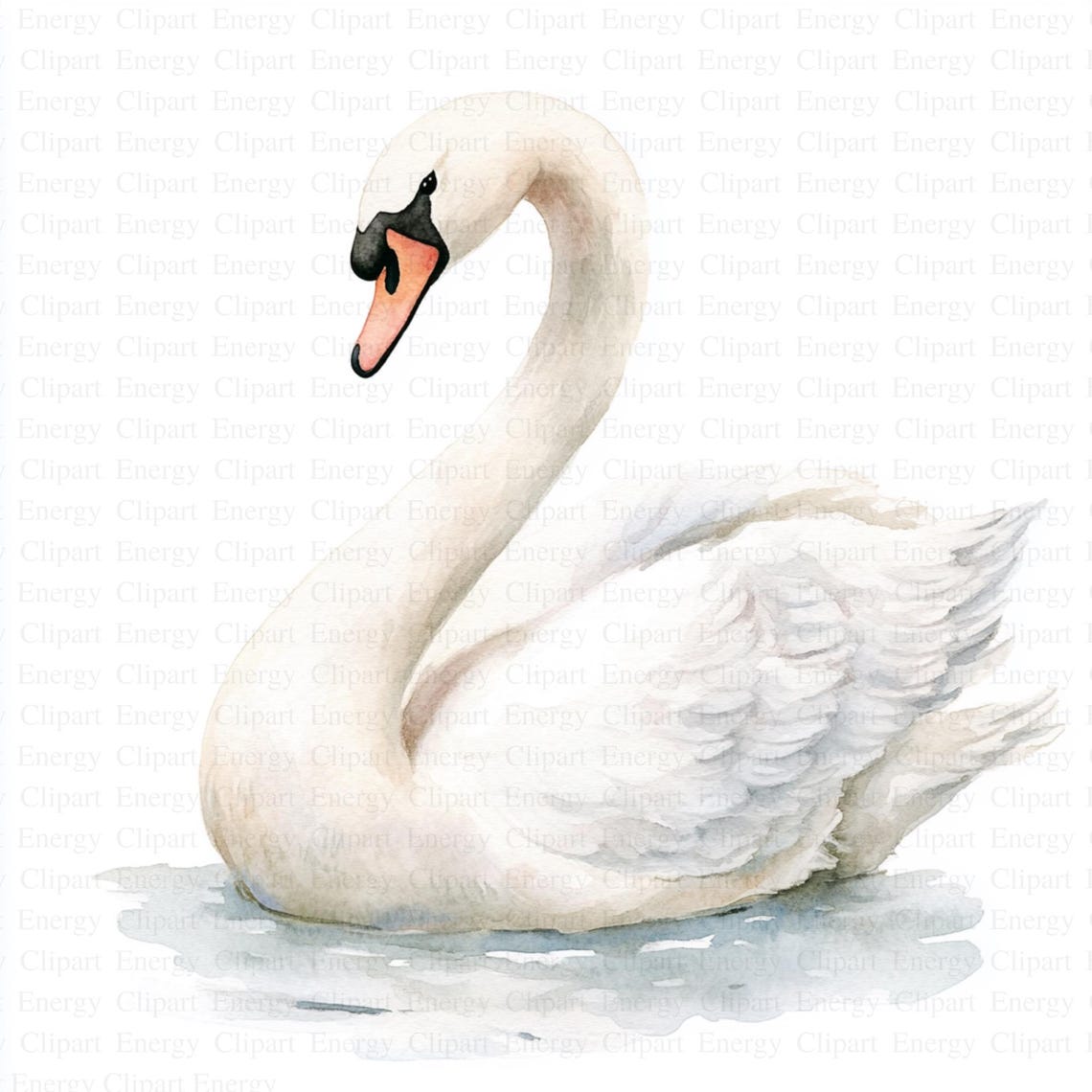 Swan Clipart | 5 High Quality Jpg's | Digital Download | Watercolor ...