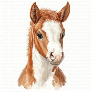 Clipart poulain | 5 fichiers JPG de haute qualité | Téléchargement numérique | Art équin | Clipart aquarelle | Créations numériques en papier | Bébé cheval | Animaux de la ferme