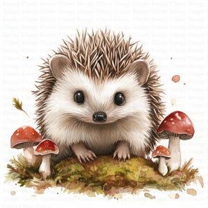 Clipart hérisson | 5 fichiers JPG de haute qualité | Téléchargement numérique | Animal des bois mignon | Illustration de dessin animé de forêt | Décoration imprimable