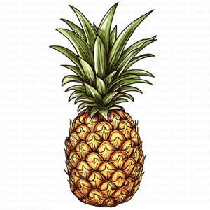 Ananas Clipart | 5 hochwertige JPGs | Digitaler Download | Tropische Früchte im Cartoon-Stil | Sommer Illustration | Druckbare Grafik