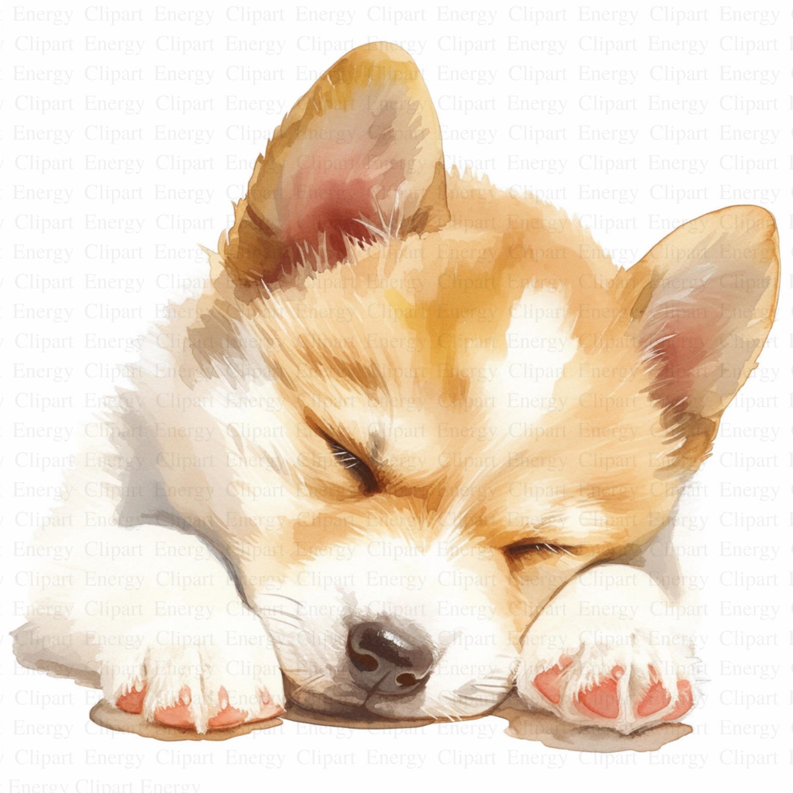 Cute Puppy Sleeping Clipart | 5 High Quality Jpg's | Digital Download ...