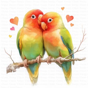 Imágenes prediseñadas de agapornis en acuarela / 5 archivos JPG de alta calidad / Descarga digital / Pájaros románticos / Ilustración de amor por la naturaleza / Imágenes prediseñadas / Manualidades de papel