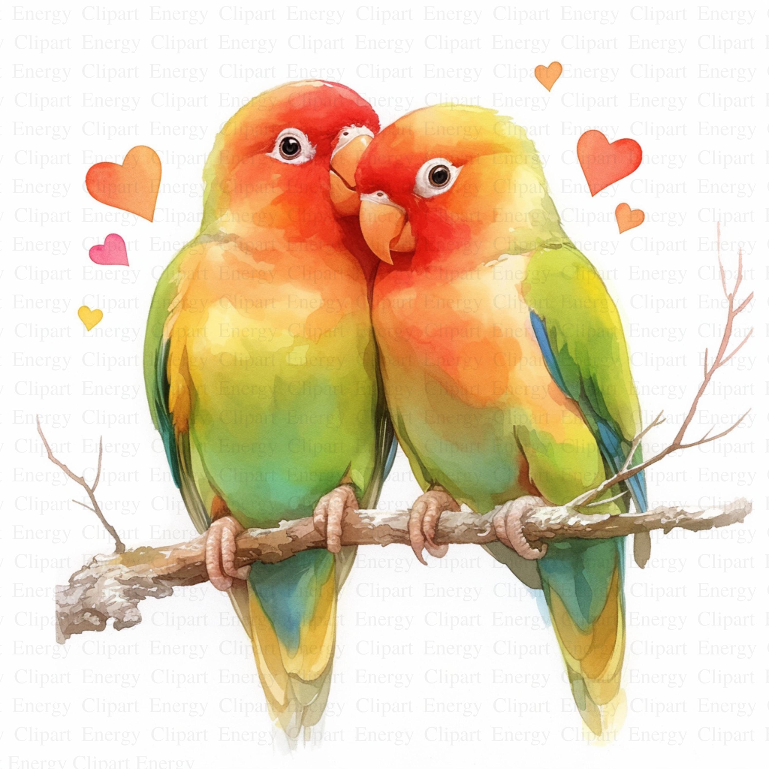 Watercolor Lovebirds Clipart | 5 High Quality JPG's | Digital Download | Romantic Birds | Nature Love Illustration | Clipart | Paper Craft
