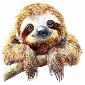 Sloth Clipart | 5 High Quality JPG&#39;s | Digital Download | Lazy Jungle Animal Art | Hanging Tree Illustration | Perfect for Scrapbooking