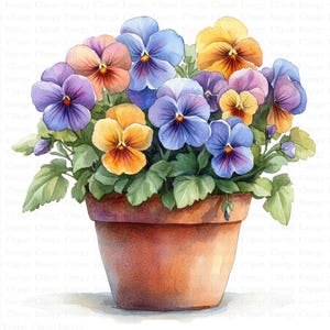 Pot of Pansies Clipart | 5 High Quality JPGs | Digital Download | Card Making | Journaling | Digital Paper Craft | Clip Art | Botanical Art