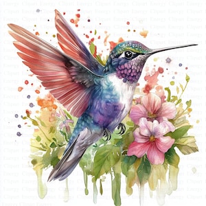 Hummingbird Clipart | 5 High Quality JPGs | Digital Download | Adorable Colibri | Printable Watercolor Clipart | Paper Craft | Junk Journal