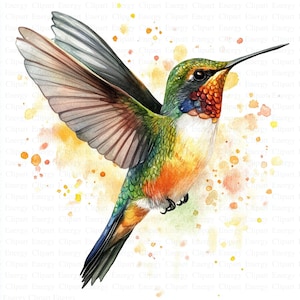 Hummingbird Clipart | 5 High Quality JPGs | Digital Download | Junk Journals | Adorable Colibri | Printable Watercolor Clipart | Paper Craft
