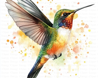 Hummingbird Clipart | 5 High Quality JPGs | Digital Download | Junk Journals | Adorable Colibri | Printable Watercolor Clipart | Paper Craft