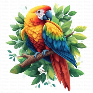 Papageien Clipart | 5 hochwertige JPGs | Digitaler Download | Vogel Clipart | Tropisch Clipart | Niedliche Papageien Clipart | Kartenherstellung