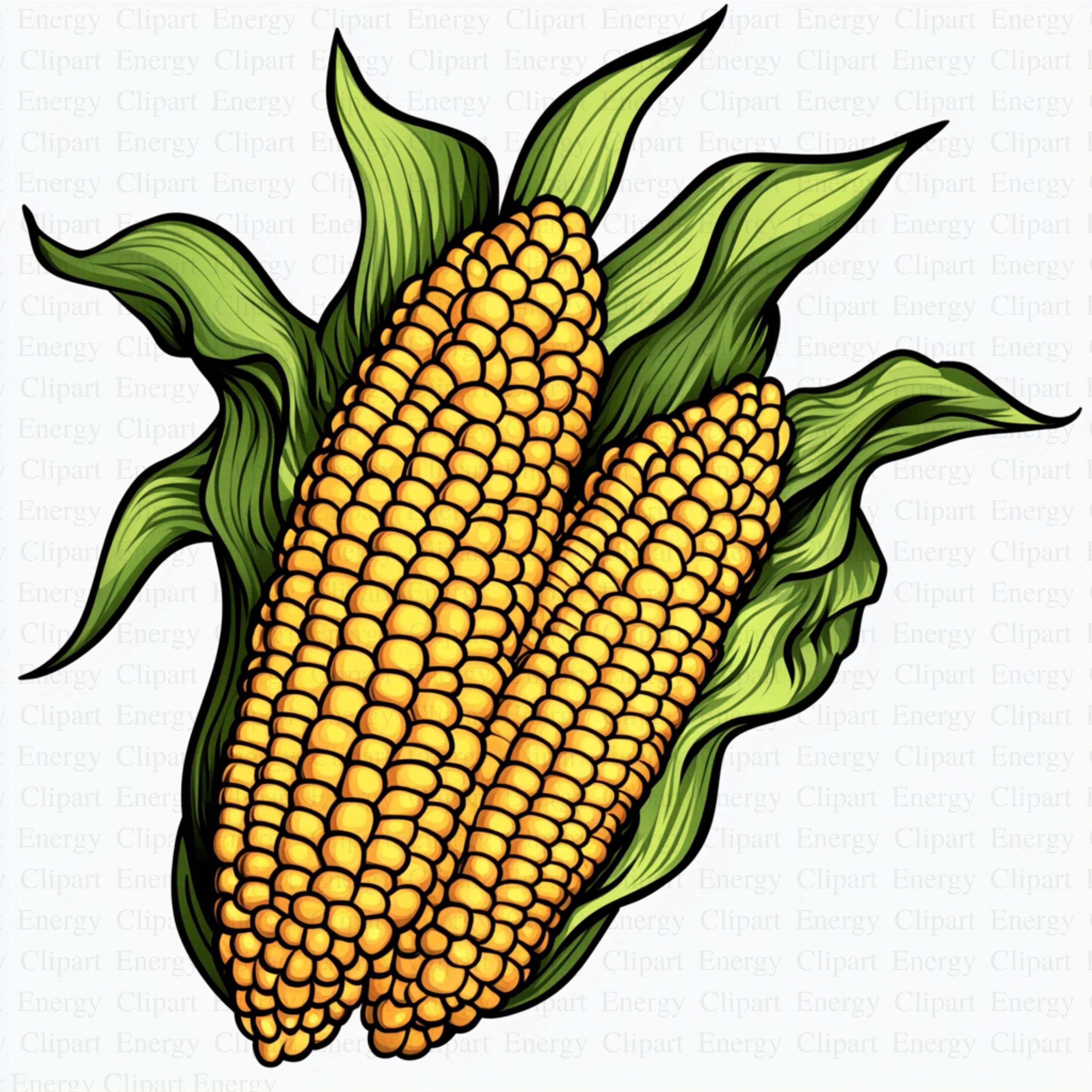 Corn Clipart | 5 High Quality Jpg's | Digital Download | Corn Graphics ...