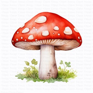 Clipart champignon vénéneux | 5 fichiers JPG de haute qualité | Téléchargement numérique | Journaux indésirables | Graphiques imprimables | Livres de souvenirs | Scrapbooking | Scrapbooking
