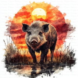 Wild Boar in Sunset Clipart | 5 High Quality JPGs | Digital Download | Art | Printable Watercolor Clipart | Paper Crafts | Junk Journals