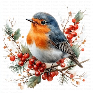 Imágenes prediseñadas de petirrojo navideño / 5 archivos JPG de alta calidad / Descarga digital / Pájaro festivo / Petirrojo en escena invernal / Impresiones digitales / Imágenes de álbumes de recortes