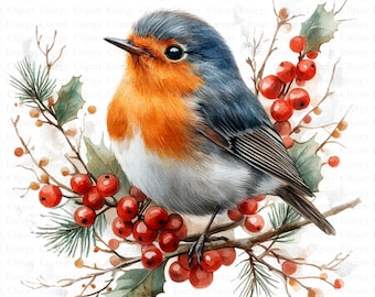 Christmas Robin Clipart | 5 High Quality JPG's| Digital Download | Festive Bird | Robin in Winter Scene | Digital Prints | Scrapbook Images