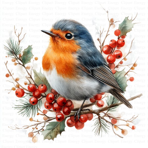 Christmas Robin Clipart | 5 High Quality JPG's| Digital Download | Festive Bird | Robin in Winter Scene | Digital Prints | Scrapbook Images