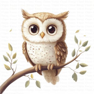 Uil-clipart | 5 JPG's van hoge kwaliteit | Digitale download | Grillige vogel | Nachtdierenkunst | Digitale afdrukken | Plakboekafbeeldingen