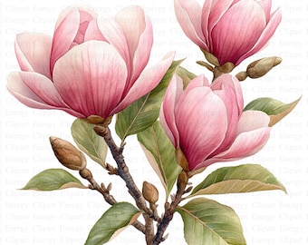 Magnolia Branches Clipart | 5 High Quality JPGs | Instant Digital Download | Botanical Art | Card Making | Journaling | Digital Paper Craft