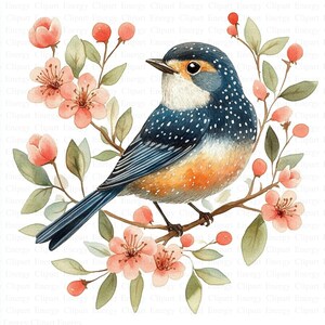 Clipart de pássaros escandinavos | 5 JPGs de alta qualidade | Download digital | Pássaro floral | Clipart de aquarela para impressão | Artesanato em papel | Clip Art