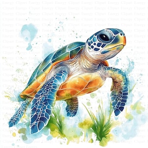 Clipart Tortue Aquarelle | 5 fichiers JPG de haute qualité | Téléchargement numérique | Tortue marine | Clipart aquarelle imprimable | Créations en papier | Art mural