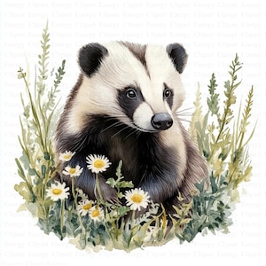 Badger in Meadow Clipart | 5 High Quality JPGs | Digital Download | Printable Watercolor Clipart | High Resolution | Paper Crafts | Wall Art