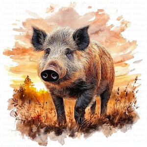 Wild Boar in Sunset Clipart | 5 High Quality JPGs | Digital Download | Printable Watercolor Clipart | Paper Crafts | Junk Journals | Art